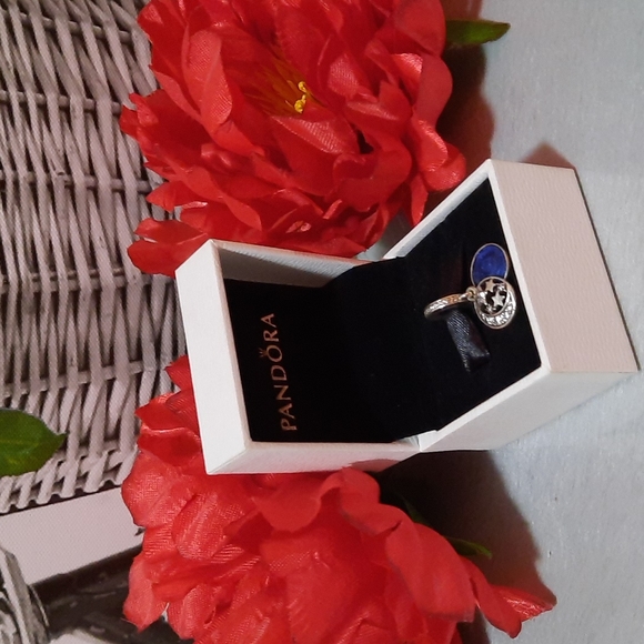 Night Sky Pandora Charm - Picture 2 of 8